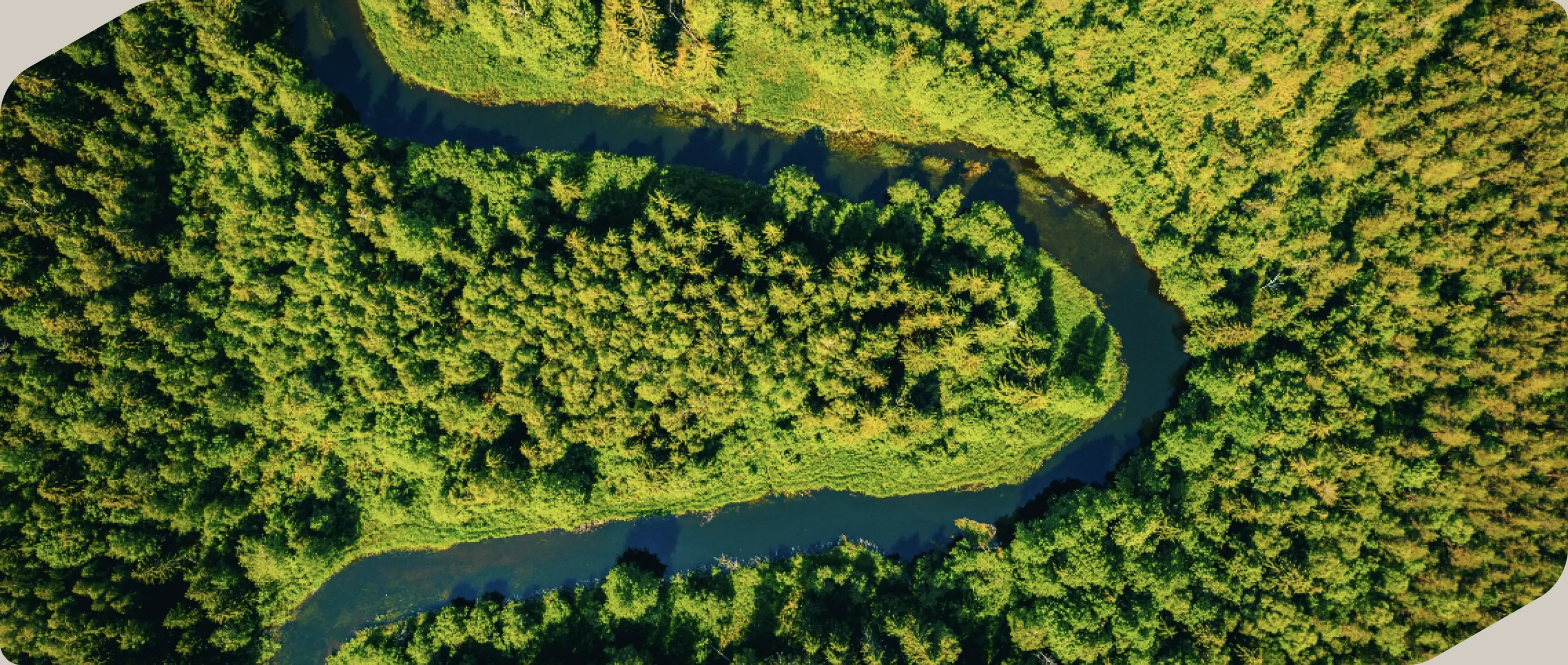 Vista aérea de un meandro de río rodeado de bosque frondoso